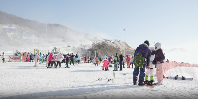 “南国雪乡”出圈！浙江冰雪经济点燃长三角冬日激情