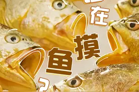 好品中国｜海洋变“粮仓”，大黄鱼“游”回百姓餐桌图片