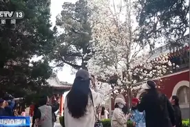 三折叠冰箱贴、会说方言的毛绒玩具……各地文创产品创意十足“百花齐放”图片