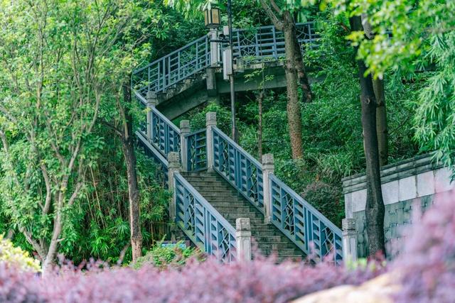 免门票！里水登高首选！3条赏秋路线→