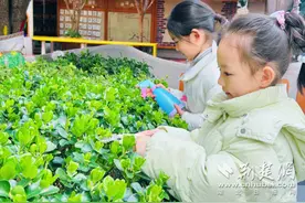 童心种温暖，芸尚幼儿园萌娃争当“小雷锋”图片