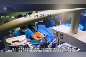 齐鲁早报|教育部门回应“山东部分区域免费上幼儿园”；山东2025年重大项目名单发布图片