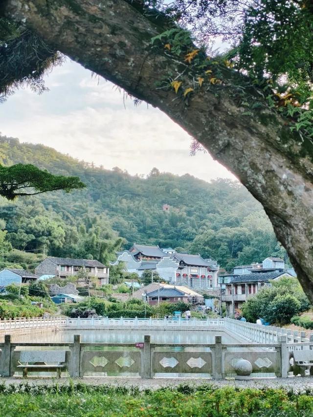 福鼎，一座为浪漫而生的城市！这些打卡地，你去过几个？