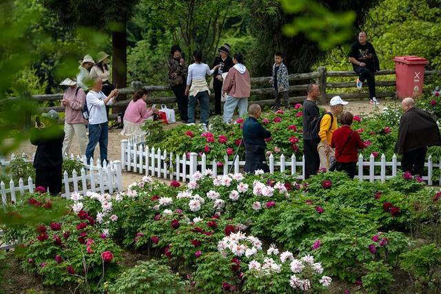 文脉铸魂，文旅破圈！彭州五年文化繁荣“高光答卷”震撼来袭