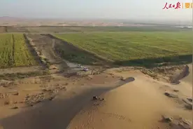 把沙子约束成土壤？一位力学专家的“另类”治沙法图片