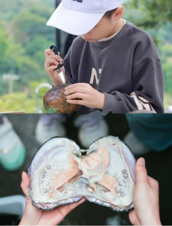 有 趣 通 知