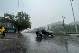 今晨北京多地现较强降雨 部分路段出现积水图片