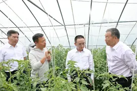 回归茅台满一周年，张德芹缘何走近这名经销商？图片