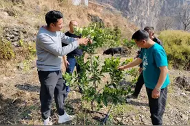 全国人大代表吉列子日：努力将阿布洛哈村打造成为布拖农文旅融合第一村 | 履职记图片