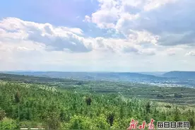 “福”暖定西，黄土地上种出“致富林”图片