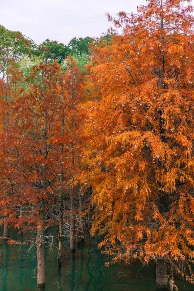 去荆门，撞进秋天怀里！