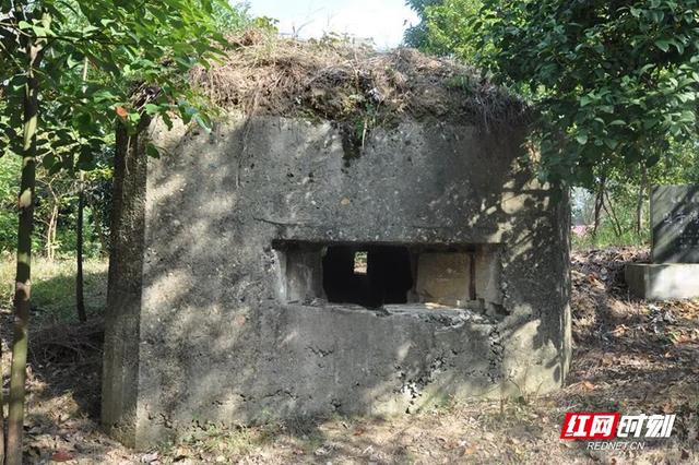 跟着文物游福地怀化⑦｜红色之旅