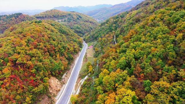 寻美兴山：又见榛子红