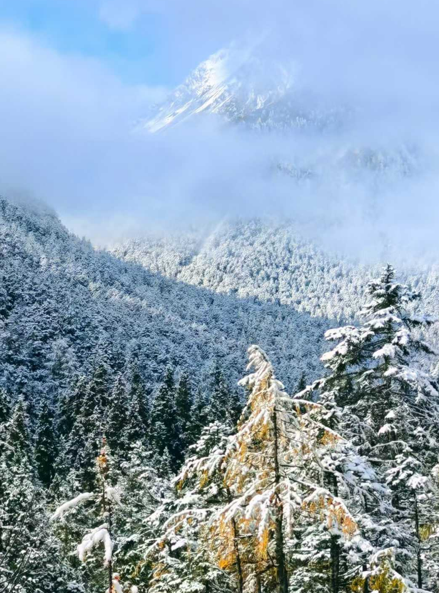 青睐绵阳 ‖ 雪山彩林上线！去平武王朗赴一场金秋视觉盛宴~