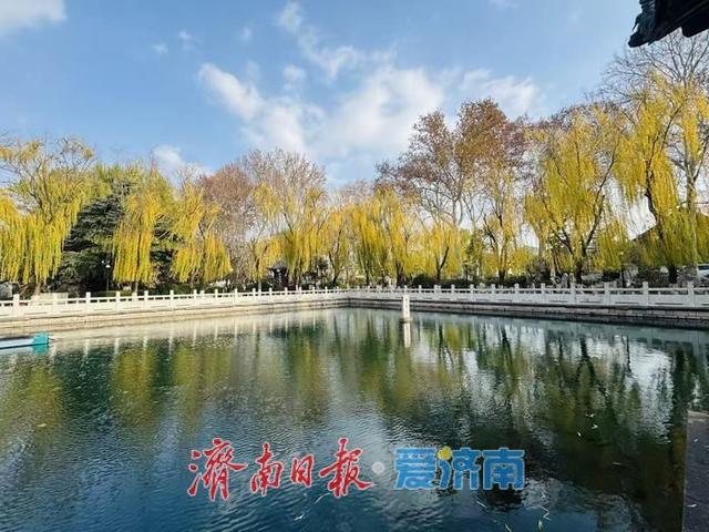 一年四季 泉在济南丨蓝天白云映清泉 济南珍珠泉冬日景致引客来