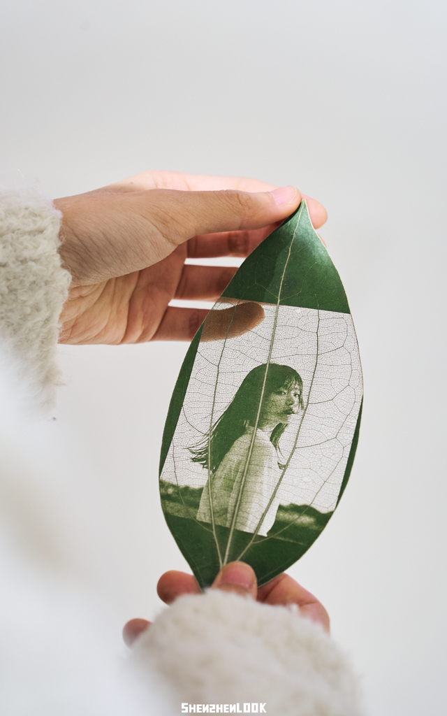 “这可能是深圳最热闹的周末，攻略准备好了”