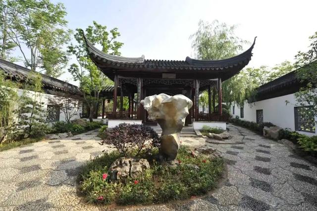 种草！青岛这几条康养路线，解锁秋日松弛感