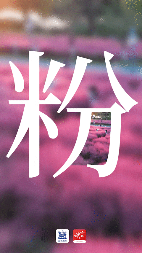 美翻了！大批盐城人出动！