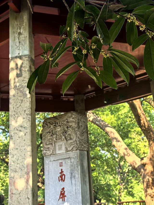 晚潮｜桂语幽境