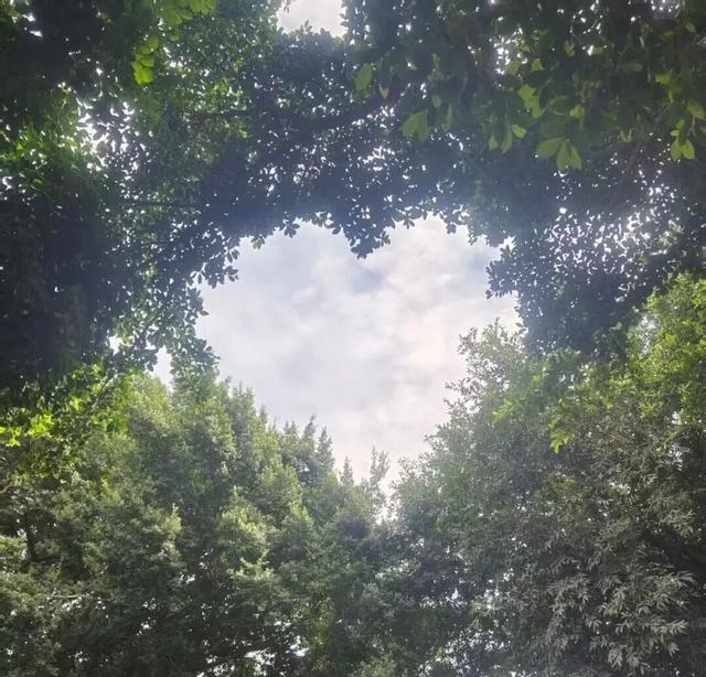 到泉州开元寺寻“心”！眼尖才能发现……