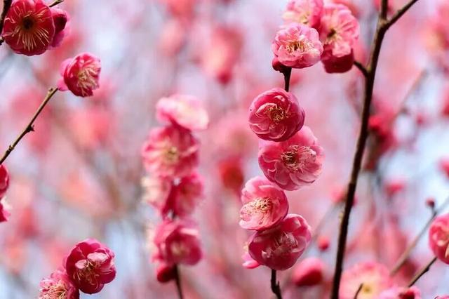 开了？达州：真的开了！