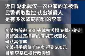 男子乔装打扮后去偷羊，民警观察入微锁定嫌疑人图片