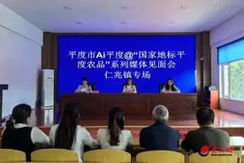 Ai平度@“国家地标 平度农品”系列媒体见面会仁兆镇专场成功举办图片