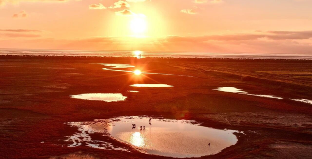 抓紧出发！错过就要等明年！