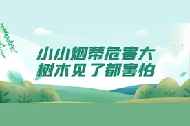 2025第四届美都汇杯城市焕新跑火热报名中～图片