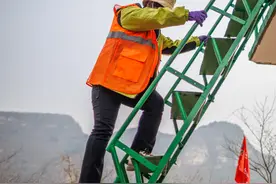 护林19年，上不去的上方山被他们走出一条巡山路图片