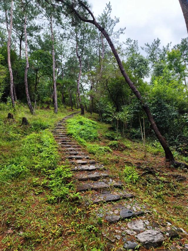 游天台山日记 + 椒江西山小行记
