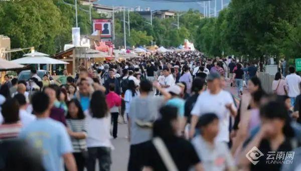 潮起滇池 咖随风来