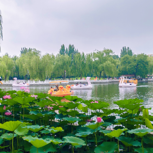 惊喜连连！北京夏天玩法上新！（1）