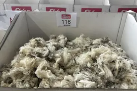 中国人每年买走八成澳大利亚羊毛，而且这个数字还在涨图片