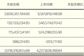 东北证券：2024年上半年归母净利润1.32亿元，同比减少75.83%图片