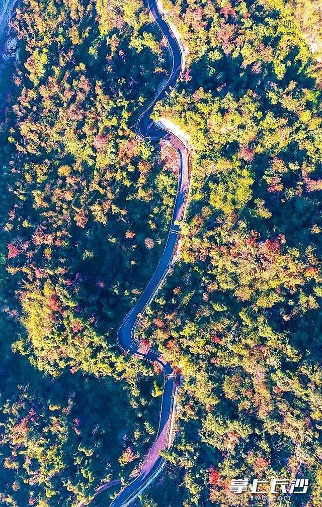 祥云山打翻了大自然的调色板，层林尽染等你来打卡