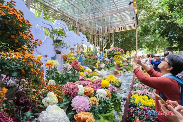 周末去哪玩？今起20天！福州人快冲！