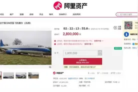 江苏一空客320飞机被拍卖，仅限自提图片