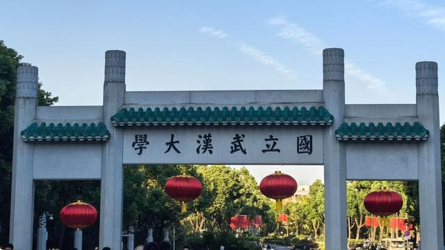 杨某媛舅舅系武大某院士是谣言