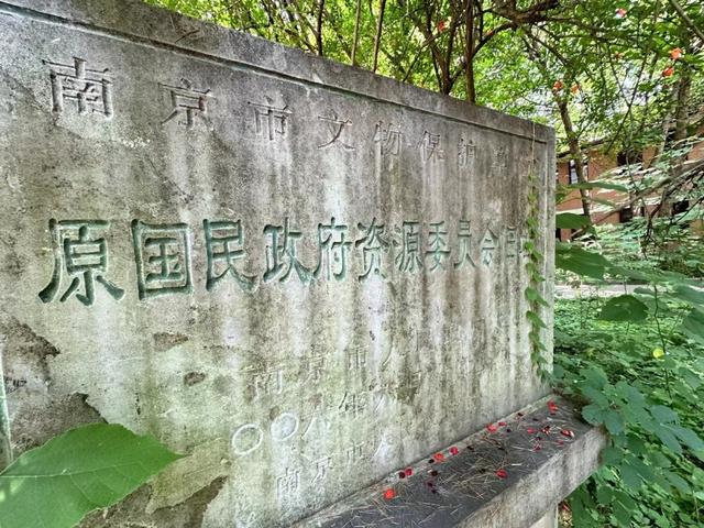 在南京民国户籍卡里，和逝去的家人“重逢”