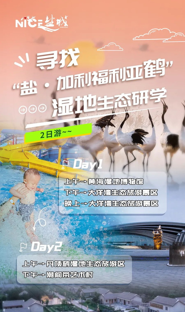 苏超场外遇见湿地天堂！盐城推出2天1夜苏超看球文旅线路
