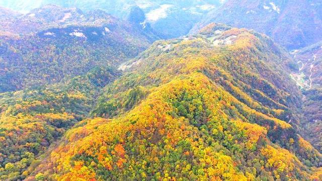 寻美兴山：又见榛子红