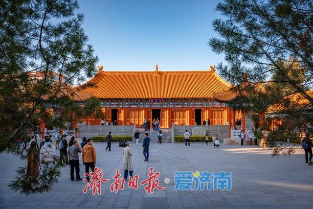 银杏金黄映红墙，济南府学文庙尽显秋韵