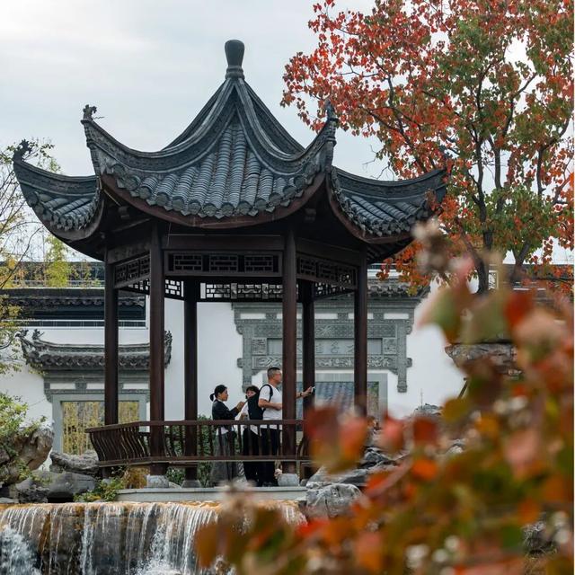 在上饶婺女洲美美入冬，朋友圈可以这样发→