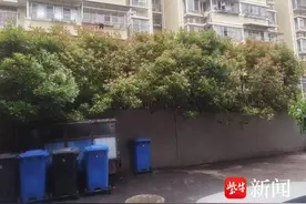 南京江宁秣陵城管：开展节前市容整治，扮靓市容迎“五一”图片