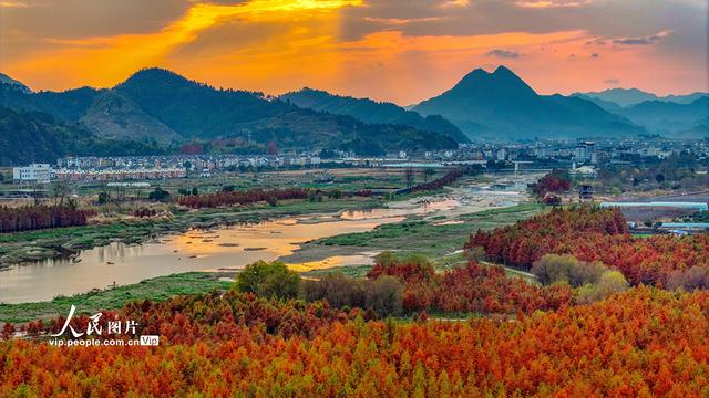浙江淳安：武强溪生态湿地五彩斑斓