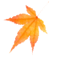 翻开“天然的动植物百科全书”！10月7日，咱一起去登松峰山！今日开始报名