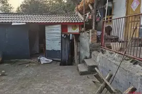 黑熊伤人被反杀！身高1米57的他讲述搏斗经过图片