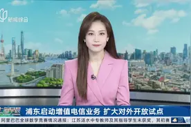 浦东启动增值电信业务 扩大对外开放试点视频封面