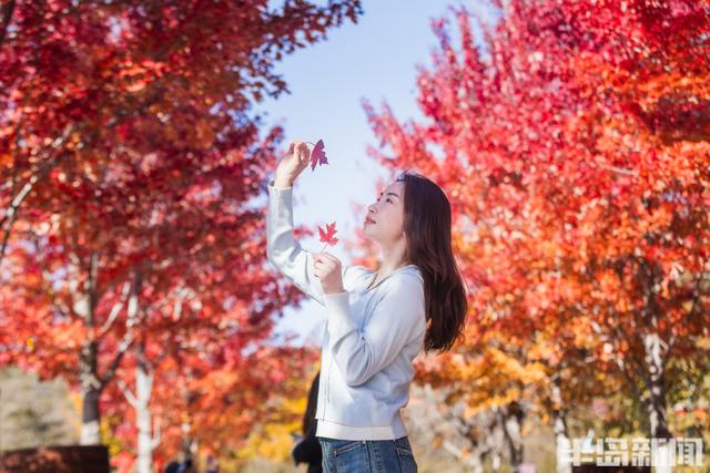 青岛故事｜五彩斑斓的秋日青岛，你怎能不爱？